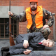 A rare moderate Republican is safely tranquilized before being brought to his breeding pen.